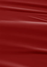 Load image into Gallery viewer, L 2591 – Burgundy Velvet Nail Polish – 15ml | High Gloss, Gel Like Finish Deep Red Nail Polish | Classic Burgundy Red Nail Lacquer