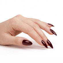 تحميل الصورة إلى عارض المعرض، P2598 – Deep Earth Brown Duo Pack – TPO & HEMA Free Gel Polish & Nail Lacquer (15ml each) | Long-Lasting, High-Gloss Nail Polish Set