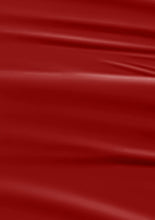 Load image into Gallery viewer, L 2788 – Hot Red Nail Polish – 15ml | High Gloss, Gel Like Finish Classic Red Nail Polish | Bold Fiery Red Nail Lacquer