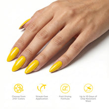 تحميل الصورة إلى عارض المعرض، P2502 – Golden Sunshine Duo Pack – TPO &amp; HEMA Free Gel Polish &amp; Nail Lacquer (15ml each) | Long-Lasting, High-Gloss Nail Polish Set
