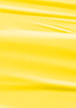 Load image into Gallery viewer, L 2502 – Golden Sunshine Nail Polish – 15ml | High Gloss, Gel Like Finish Yellow Nail Polish | Bright Yellow Nail Lacquer