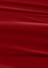 Load image into Gallery viewer, L 2649 – Fire Engine Red Nail Polish – 15ml | High Gloss, Gel Like Finish Red Nail Polish | Bold Classic Red Nail Lacquer