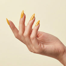 تحميل الصورة إلى عارض المعرض، طلاء جل N-2698-Goldenrod 15 مل