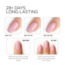 Load image into Gallery viewer, Gel Acid-Free Primer 15ml